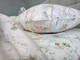 Комплект постільної білизни Комфорт Текстиль Лірика cotton (Полут. на рез) - зображення 5