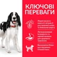 Сухий корм для дорослих собак середніх порід Hill's Science Plan Adult Medium Breed із куркою 2.5 кг - зображення 2