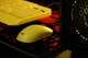 2E Gaming Миша MG355 WL, RGB, USB-A/WL, жовтий - изображение 3
