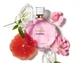 Парфюмированная вода для женщин Chanel Chance Eau Tendre 50 мл - изображение 6