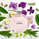 Парфюмированная вода для женщин Chanel Chance Eau Tendre 50 мл - изображение 5