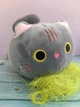 М'яка іграшка Grey Cat, плюшева іграшка подушка Сірий Кіт 25 см, Panalisa (104497009) - зображення 1
