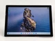Планшет 12.3" Microsoft Surface Pro 7 Plus 8/256Gb Windows 11 Б/В - зображення 7