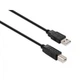 Кабель для принтера USB 2.0 AM/BM 5.0 m Vinga (VCPUSBAMBM5BK) - изображение 1
