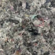 Войлок 1000 г/м2 /повсть/ настил - зображення 3