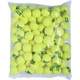 Мячи для тенниса Babolat Зеленый 72 bag (512005-113) - изображение 1