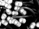 Гирлянда уличная 10м черный провод LED мерцающая белая 220 В 100 Вт - изображение 3