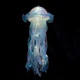 Декор светящийся Медуза на батарейках Jellyfish lamp AND HA-113 Голубая - изображение 1