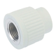 Муфта ВР 20x1/2F PPR Koer K0085.PRO (KP0103) - изображение 1
