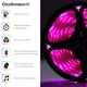 Розумна світлодіодна стрічка RZTK Smart RGB LED BT USB 5м + пульт - зображення 2