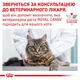 Royal Canin Gastro Intestinal Cat Pouches Консервування Корм ​​Для Котів При Порушеннях Травлення Вага: 0.085 кг (9003579027752) (40390011) - зображення 6