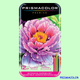 Мягкие цветные карандаши Prismacolor Botanical 12 цветов - изображение 1