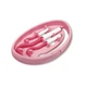 Інструмент для видалення кліщів Tick Twister Clipbox Trio Pink, 3 шт рожевий - зображення 3