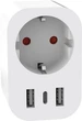 Умная WiFi розетка с выходом USB+Type-C 1DAL (Y8101U-GE) - изображение 2