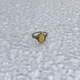 Срібна каблучка з цитрином nano 3.117ct, вага виробу 2,81 гр (2171836) - зображення 7
