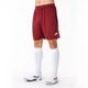 Шорты рубиновые Joma NOBEL 100053.671 Joma 2XL-3XL - изображение 2