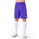 Шорты фиолетовые Joma NOBEL 100053.550 Joma 2XL-3XL - изображение 1