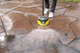Профессиональная насадка Karcher T 7 Plus T-Racer (2.644-074.0) - изображение 3