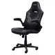 Кресло игровое Trust GXT703 RIYE Black - изображение 7