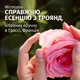 Легкий бальзам-ополаскиватель Herbal Essences Rose Scent Petal Soft 145 мл (8700216631815) - изображение 7