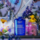 Serum nawilżające do twarzy Kiehl's Midnight Recovery przeciwzmarszczkowe 50 ml (3605970279752) - obraz 8