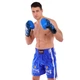 Рукавички шкіряні боксерські Twins Maze 5067 на липучці розмір 14 унцій Blue-Black - зображення 7