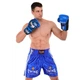 Рукавички шкіряні боксерські Twins Maze 5067 на липучці розмір 14 унцій Blue-Black - зображення 8
