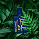 Zestaw męski Ulric de Varens Wild Woda toaletowa 100 ml + Dezodorant w sprayu 200 ml (3326240049744) - obraz 3