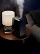 Увлажнитель воздуха Polaris PUH 2709 IQ Wi-Fi Черный - изображение 14