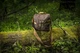 Сумка тактична Helikon-Tex через плече Bushcraft Haversack bag 8л Brown (TB-HVS-CD-0A0BA) - зображення 2