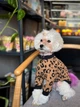 Світшот для собак Тренд коричневий S - изображение 2