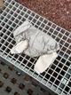 Жилет пуфер для собак Атлас шампань S - зображення 9
