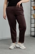 Женские спортивные брюки из трикотажа двунитка демисезонные Aksan 22.1530 54(4xl) коричневий - изображение 1