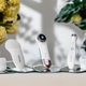 Zestaw 3 masażerów do twarzy Cecoetec FaceCare SkinRoutine (A01_EU01_102502) - obraz 11