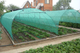 Сітка затіняюча Agreen 60% 12x50м. - зображення 3