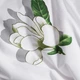Набор наволочек Moon&Star Бязь Gold Люкс Wisteria White 40х60 2 шт (MS-840001039) - изображение 6