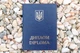 Обкладинка для диплома, А5 (тверда), Синя - зображення 4