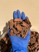 Кора Пиния чистая Португальская без примесей 20-25 мм ручная фасовка - изображение 1