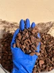 Кора Пінія чиста Португальська без домішок 6-12 мм ручне фасування - зображення 1