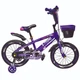 Детский велосипед X-Treme KANGU 25.16-02 фиолетовый - изображение 1