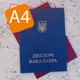 Обложка для Диплома БАКАЛАВР (Твердая А4) - изображение 2
