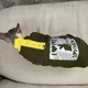 Кофта для кота или кошки Style Pets ILMSPH-khaki (00047kh) XXL - изображение 1