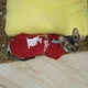 Кофта для кота или кошки Style Pets sp-red0819/l S - изображение 3