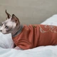 Кофта для кота или кошки Style Pets «TOY» (0019br) L - изображение 1