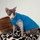 Трикотажная майка для кота Style Pets victory hand M- - изображение 1