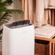 Osuszacz powietrza Cecotec BigDry 10000 Expert Connected - obraz 8