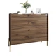 Комод с 4 ящиками LION Wood с золотыми ножками 100х90х45 см Дуб Ливорно (LION-042965) - изображение 2