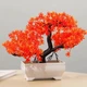Искусственный бонсай в горшке Sunset Glow Bonsai Оранжевый 26x19 см - изображение 2