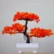 Искусственный бонсай в горшке Sunset Glow Bonsai Оранжевый 26x19 см - изображение 3