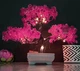 Искусственный бонсай сакуры в горшке Pink Cherry Bonsai Розовый 26x19 см - изображение 4